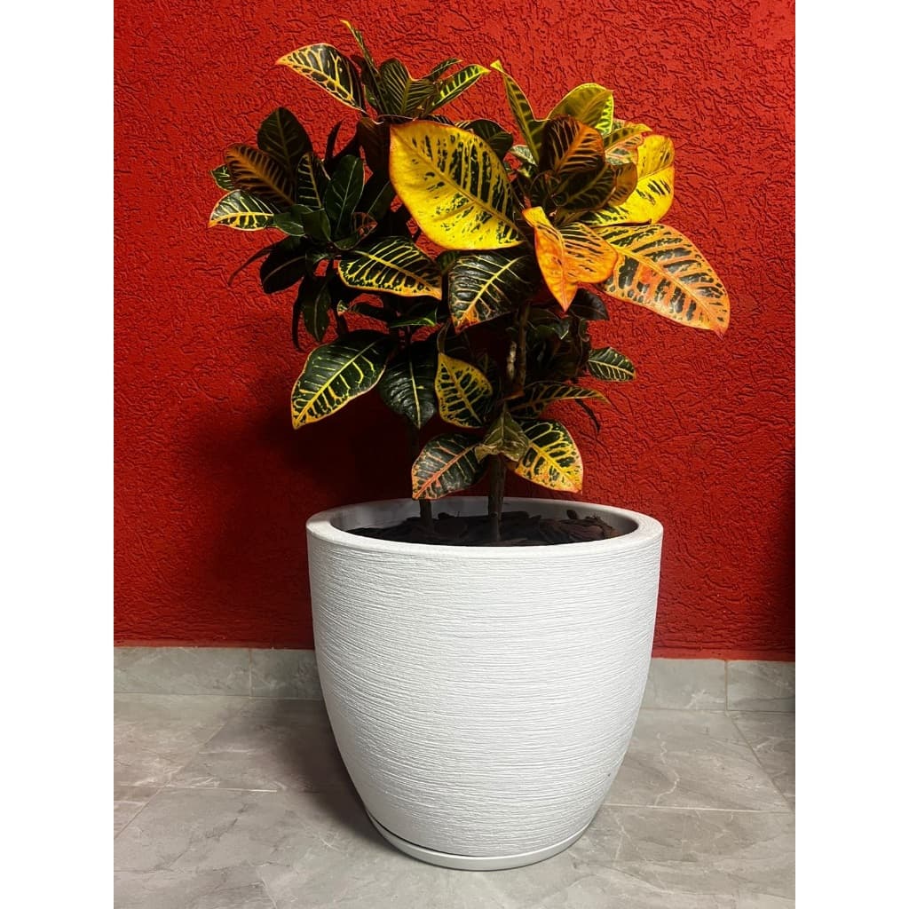 Vaso Decorativo Grafiato para Plantas Bojo 1 com Prato Medidas 29x33x24cm