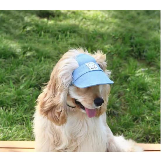 Chapéu Ajustável Para Cachorro Com Furos As Orelhas , Boné De Pescador Animais De Estimação , Filhote De , Gato , De Sol