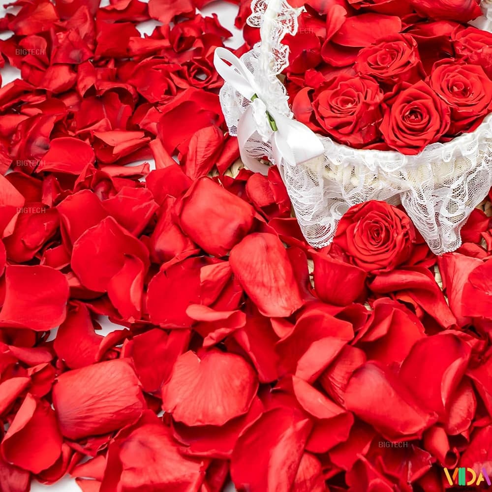 1000 Pétalas Flores Artificiais Bunga Para Decoração Artefato De Proposta  Rosa Vermelhas
