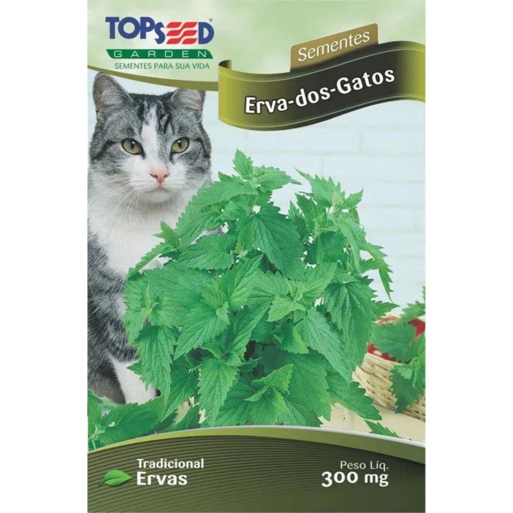 SEMENTES DE ERVA DOS GATOS - CATMINT - CATNIP - NEPETA CATARIA