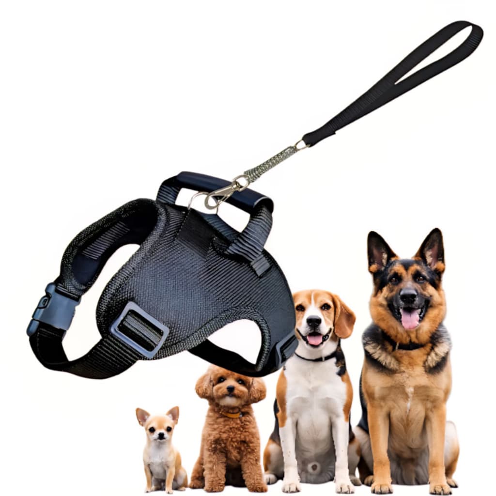 Coleira Para Cachorro Peitoral Em X + Guia Para Passeio Com Guia Vários Tamanhos Na Cor Preto