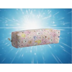 Bolsinha Straykids Skzoo estojo escolar 20x6cm