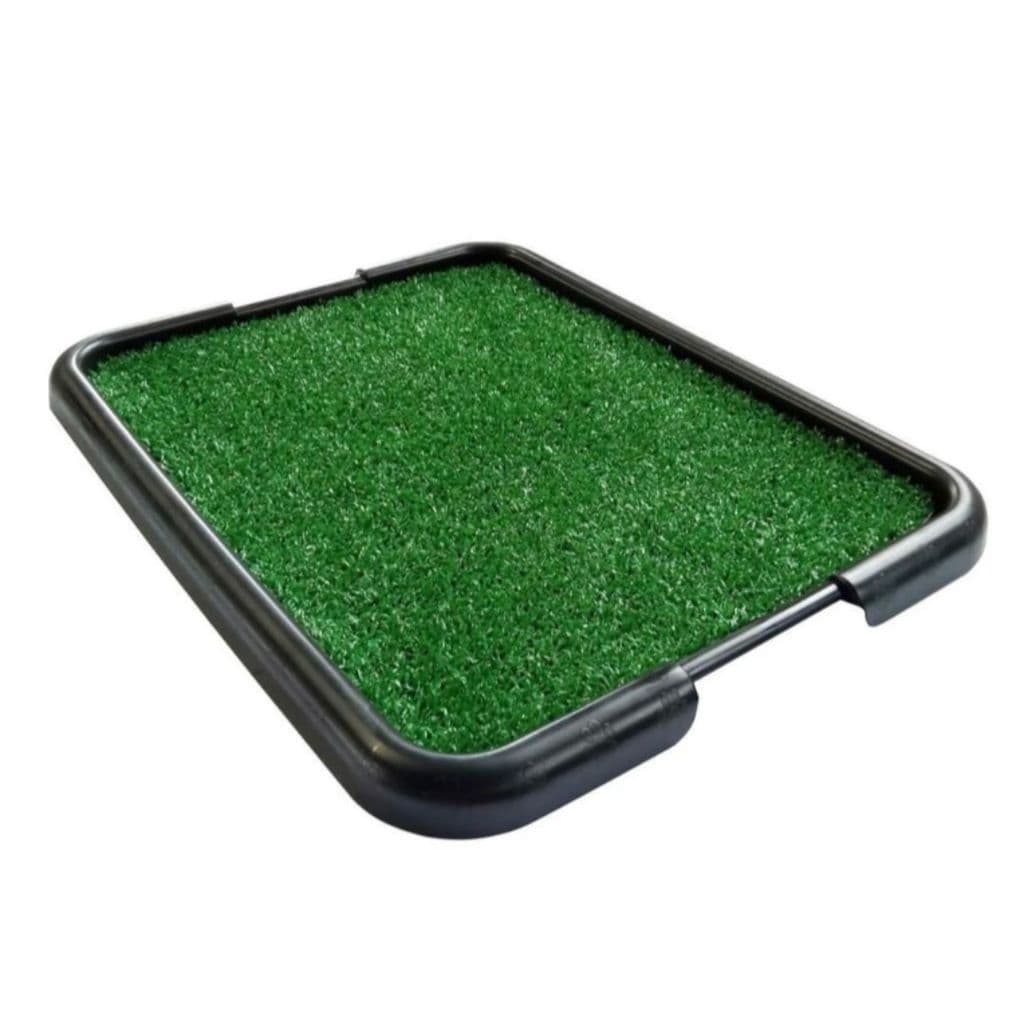 Sanitário Tapete De Grama Artificial Para Cachorros