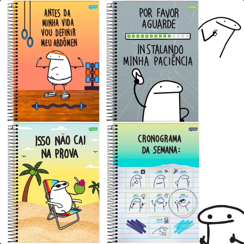 Kit 4 Caderno Meme Flork 1 Matéria Universitário 80 folhas material escolar engraçado unissex menino menina infantil