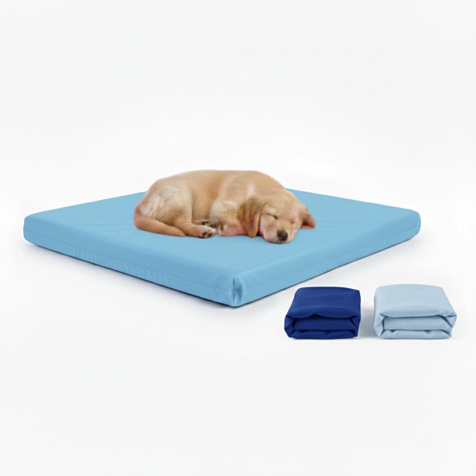 Kit Colchonete Impermeável para Filhotes com 2 Capas Extras Substituíveis - Petlife 70x50