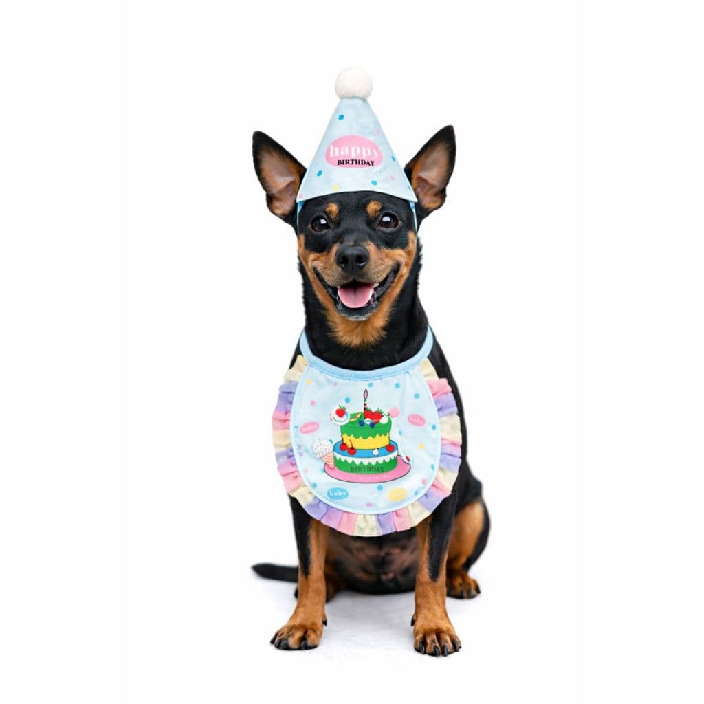 Kit Aniversário Pet Cachorro Azul – Babador Apliques + Chapéu Festa