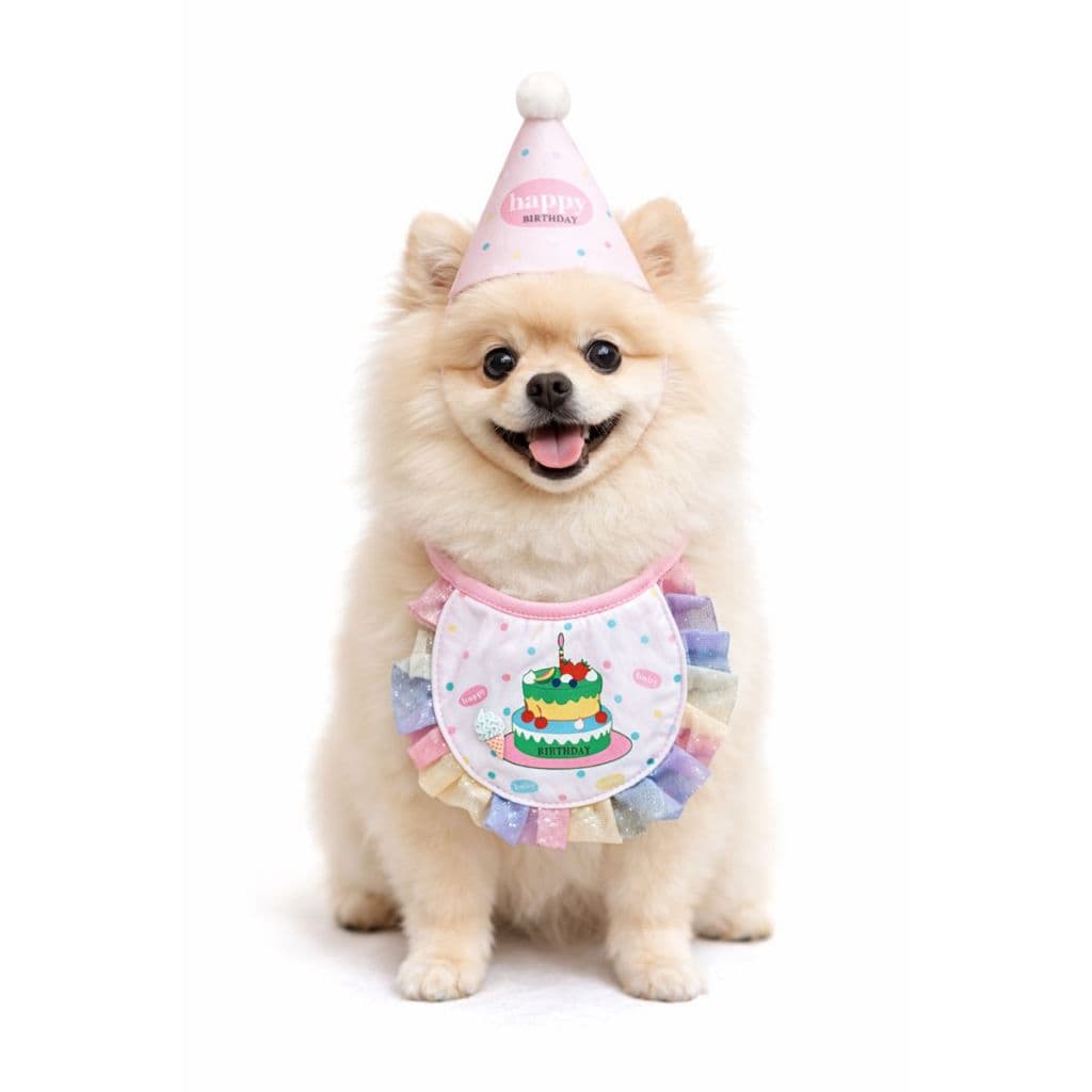 Kit Aniversário Pet Cachorro Rosa – Babador Apliques + Chapéu Festa