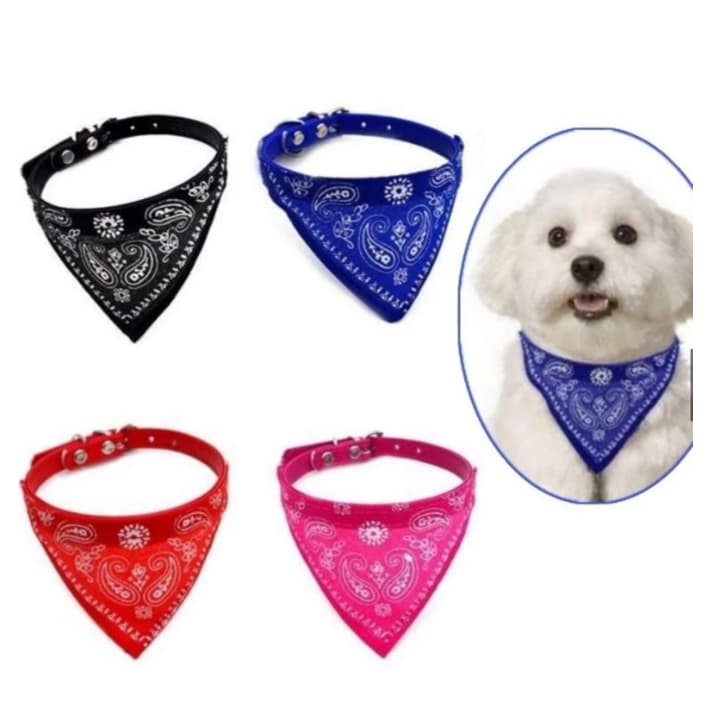 Coleira Bandana Gato/Cachorro Filhote - Coleira Para Gato - Coleira Cachorro