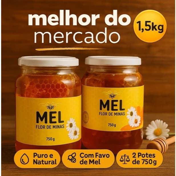 Kit Mel Puro Natural Flor de Minas com Favo de Abelha Silvestre Artesanal Produto Natural