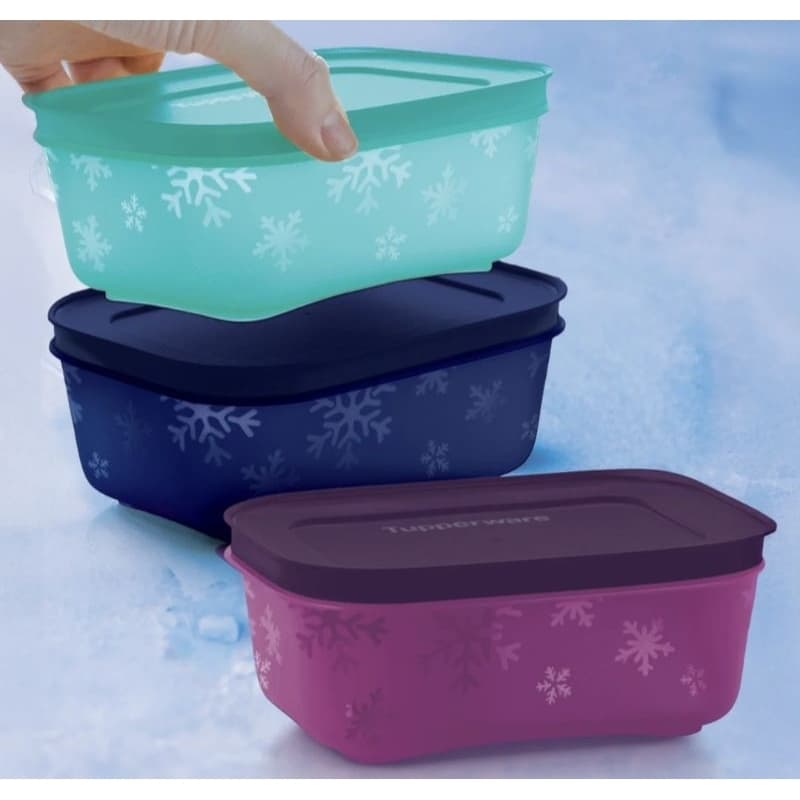 TUPPERWARE POTES PARA CONGELAR ,CARNES, PORÇÕES, MARMITAS NO FREEZER KIT 3 POTES, PRATICIDADE