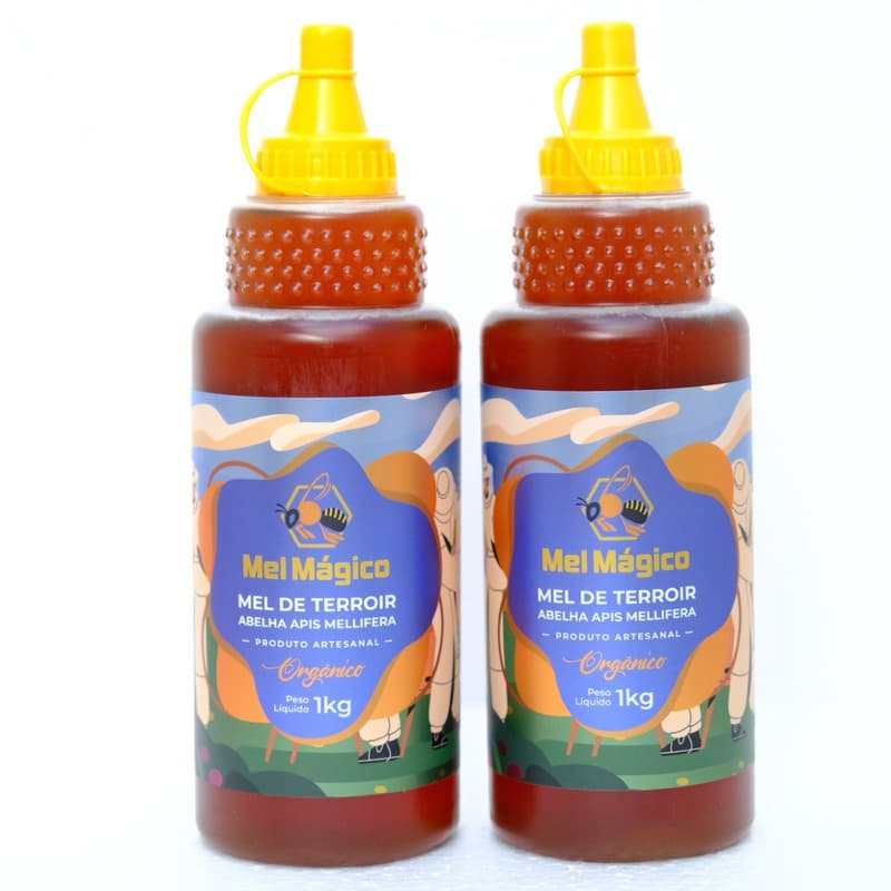 Kit 2x Mel Puro Orgânico Bisnaga 1Kg - Total 2kg De Mel 100% Natural