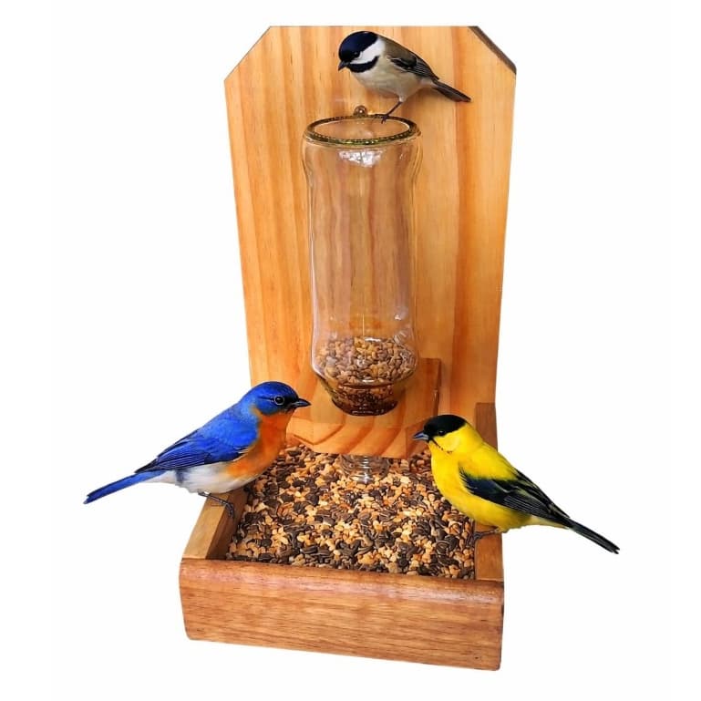 Comedouro para Pássaros Livres, Tratador e Comedouro de Pássaros, Natureza, Jardim