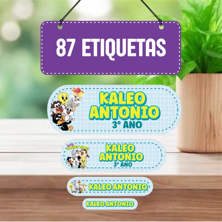 Etiquetas Escolares Baby Looney/Kit de Etiquetas/87 etiquetas