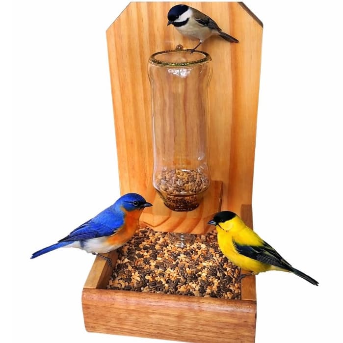 Tratador de Pássaros Livres, Comedouro e Tratador de Pássaros, Natureza, Jardim