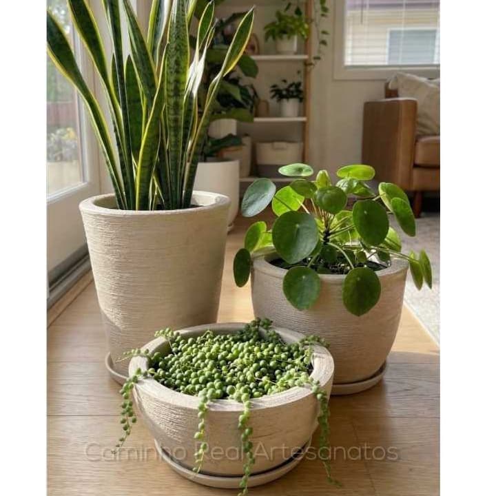 Kit 3 Vasos Pequenos para Plantas com Prato Coletor