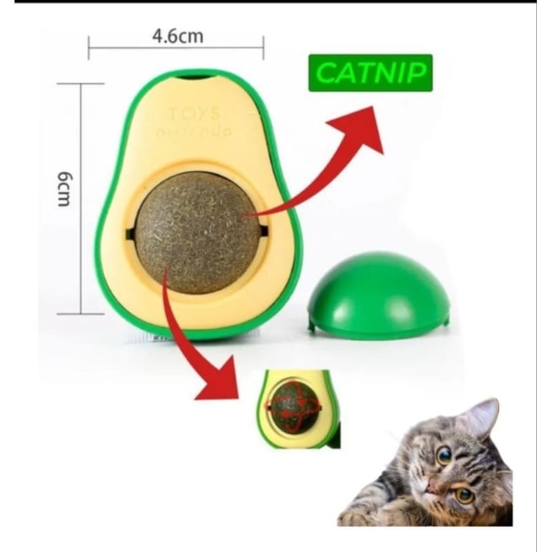 Abacate Catnip para gatos, alivia Stress, distrai e diverte o gato