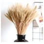 Trigo Seco Para Decoração -120 Hastes | Arranjos, Flores Desidratadas, Vaso Decorativo