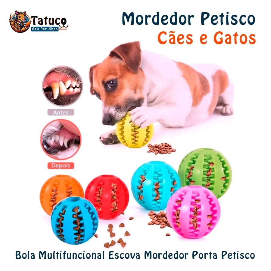 Pet Ball Mordedor Bola Multifuncional Escova Mordedor Porta Petisco - UNIDADE