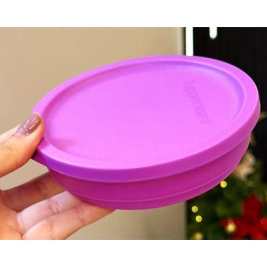 Tupperware Refri Line Mini 110ml  a 250ml - Diversas