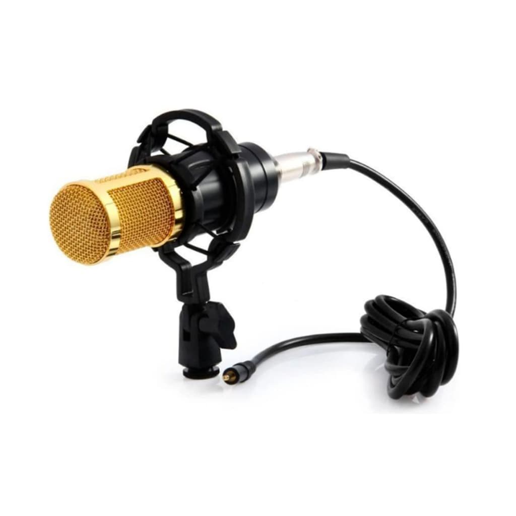 Kit Microfone Condensador BM-800 com Acessórios – Uso Profissional