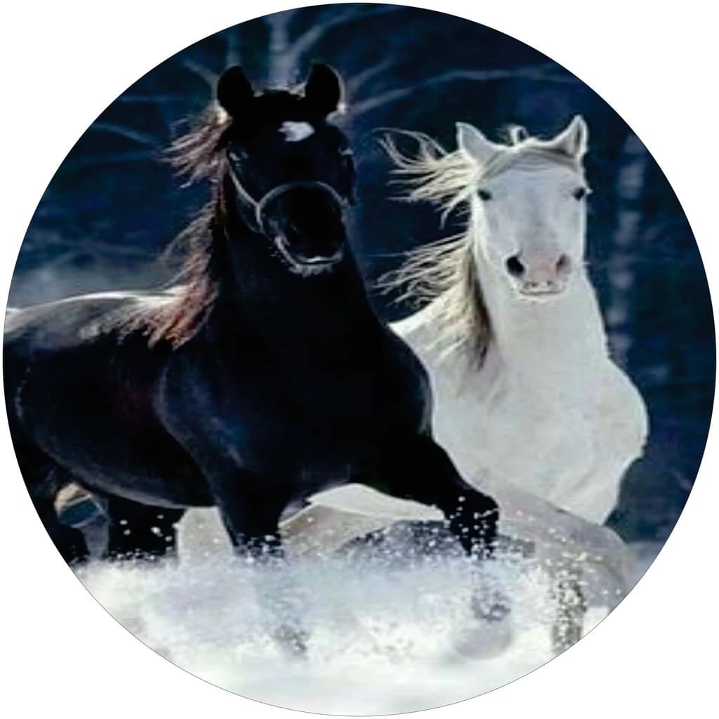 Capa De Estepe Ecosport Crossfox Aircross Spin Cavalo Preto e Branco Cavalos na Neve