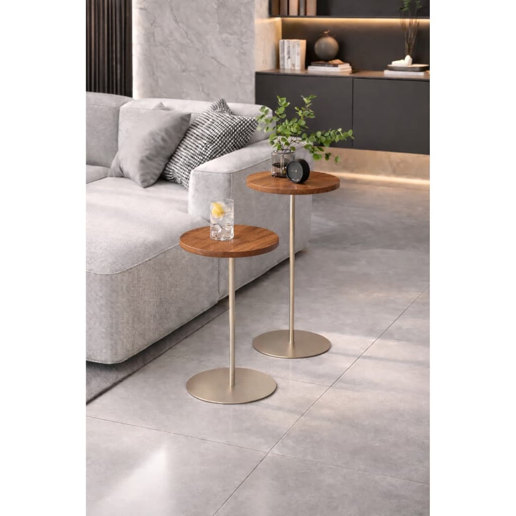 Kit 2 Mesa Champanhe De Decoração Sala Clinicas Studio Laminado Madeira Cinamomo Cor de Mel - Madeira