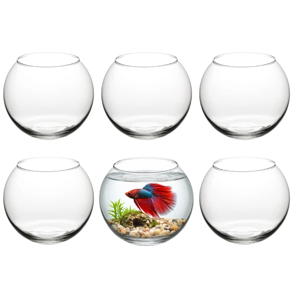 Kit 6 Mini Vaso Vasinho Aquário Castiçal Redondo De Vidro 400ml Centro de Mesa Peixe Beta Lembrança