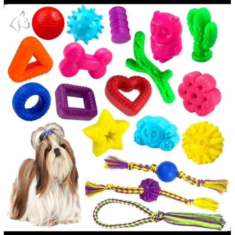Kit com 12 Pcs Brinquedo Mordedor Maciço para Pets porte pequeno