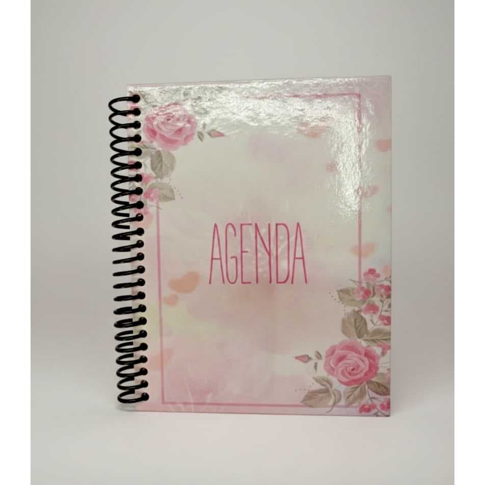 Agenda Escolar 2026 Espiral Tamanho 120 X 150mm 96 Folhas Capa Dura