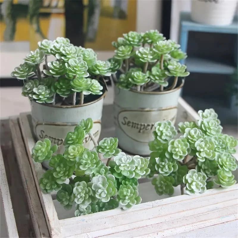 Mini Suculentas Plantas Artificiais - LMM802253