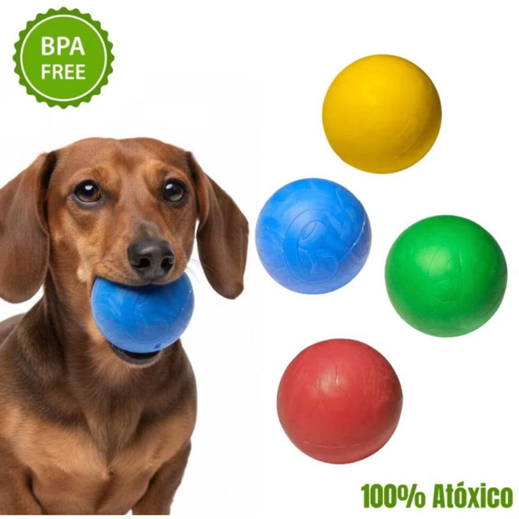 Brinquedo para cachorro mordedor Bolinha para cachorro interativa maciça atóxicaa