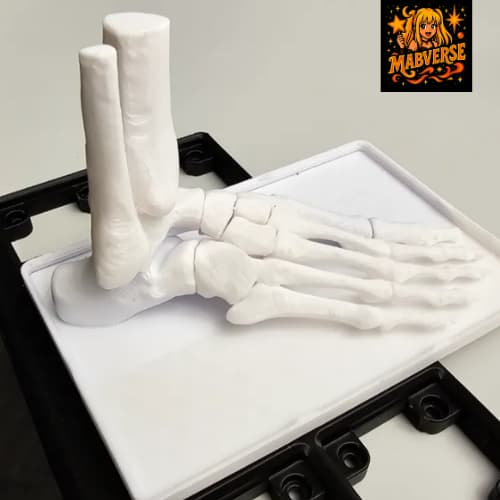 Modelo de Pé Humano Anatomicamente Correto em Tamanho Real