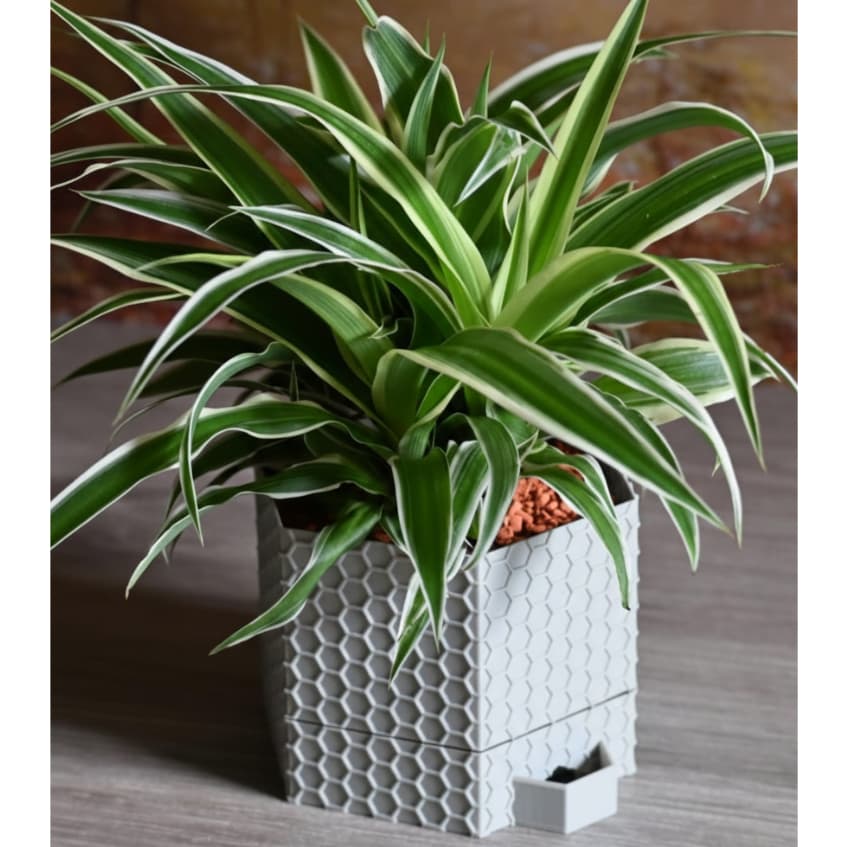 Vaso Decorativo Autoirrigável Pequeno e Médio - Modelo Colméia Design Moderno para Sala e Escritório.