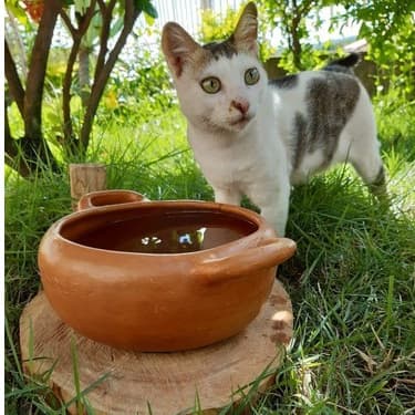 Panela De Água Comedouro Para Cães Gatos Bebedouro Pet Animais