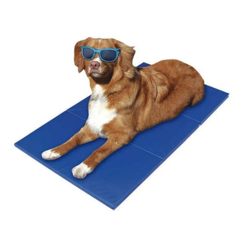 Tapete Refrescante Gel Cama Gelada Cães Dog - Pet 65x50cm