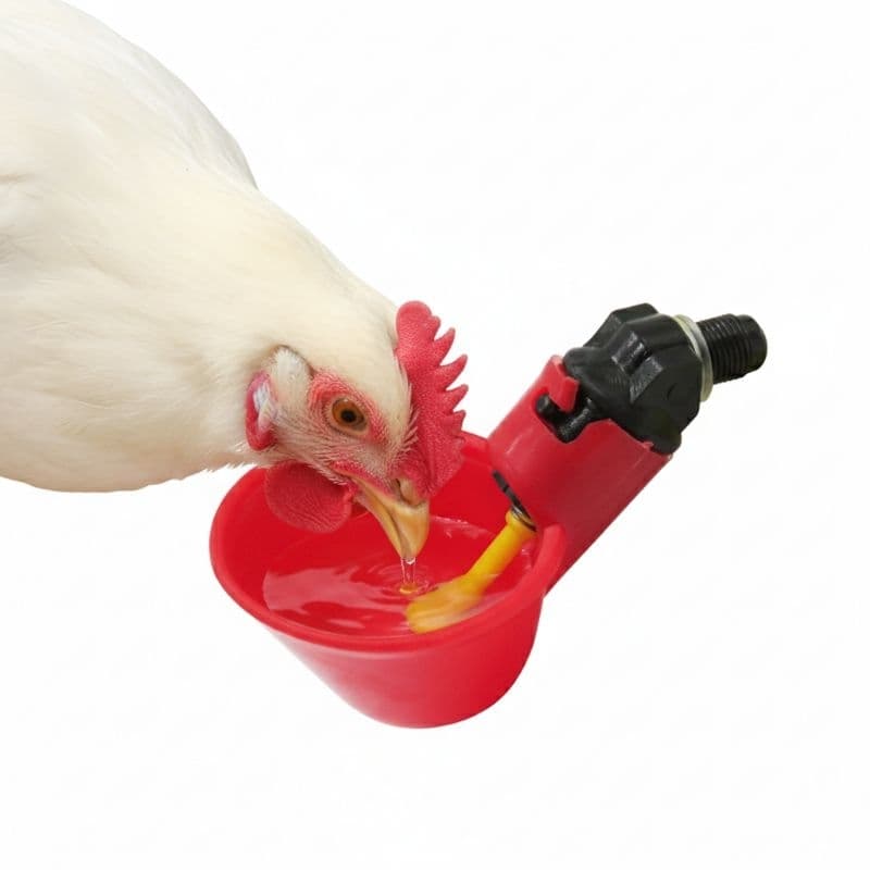 10 Bebedouro Automático para Aves Galinhas,Patos+Broca