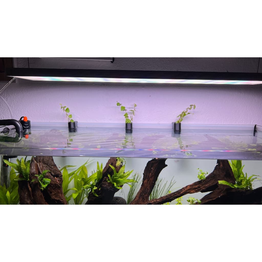 Suporte para planta de aquário kit 03