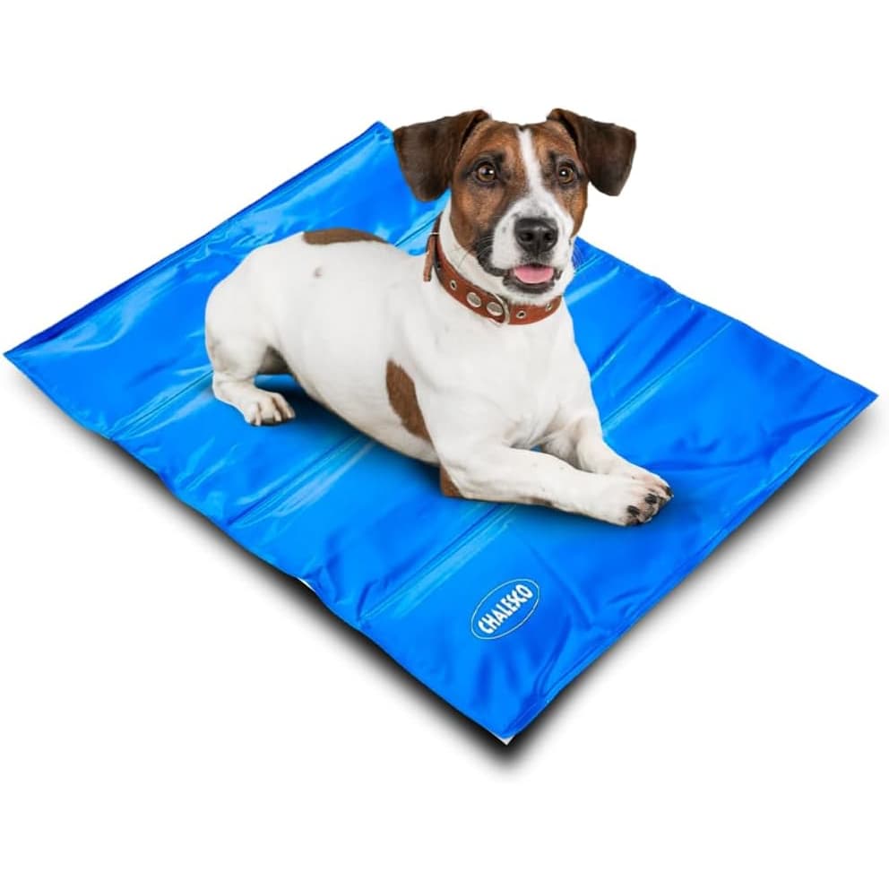 TAPETE GELADO Chalesco  G 60 cm x 90 cm para Cães