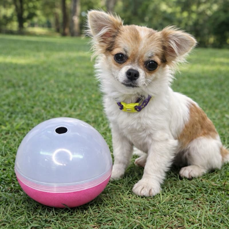 Brinquedo Comedouro Bola Interativa Pet Ball Para Cão Cachorro Ração Petisco