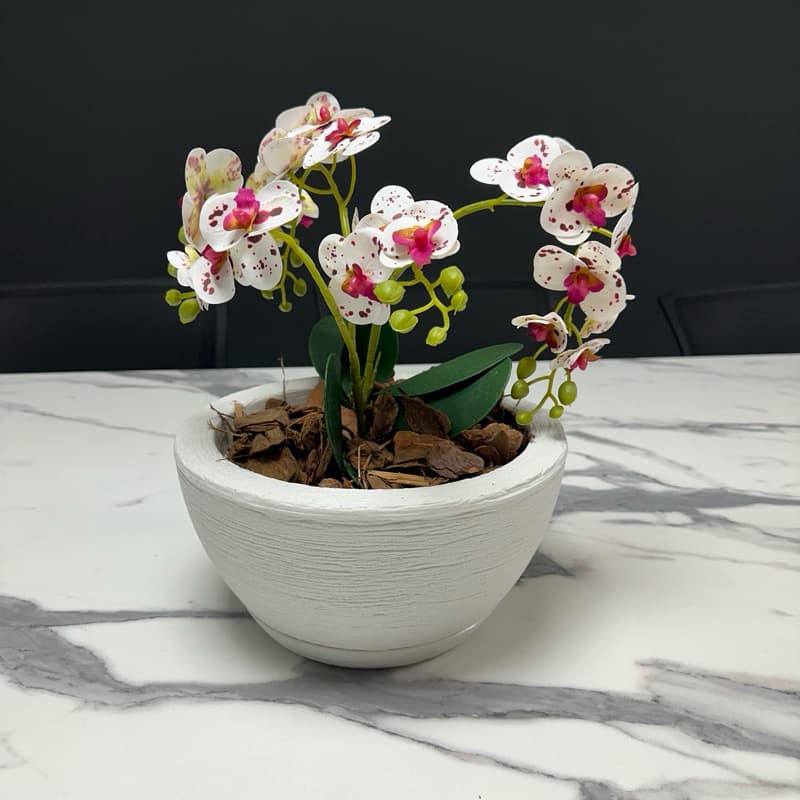 Vaso para Plantas Bacia PP em Polietileno Texturizado Grafiato Jardim
