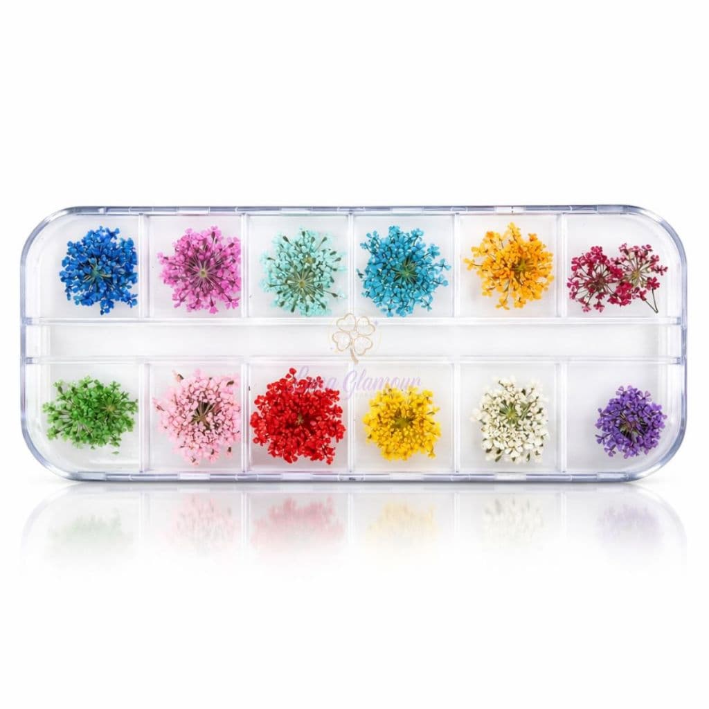 Caixinha com 12 Flores Secas Encapsulamento Decoração Unhas De Gel