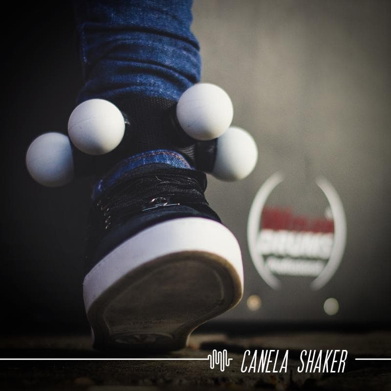 CANELA SHAKER TORNOZELEIRA P\CAJÓN | CHOCALHO | WITLER DRUMS