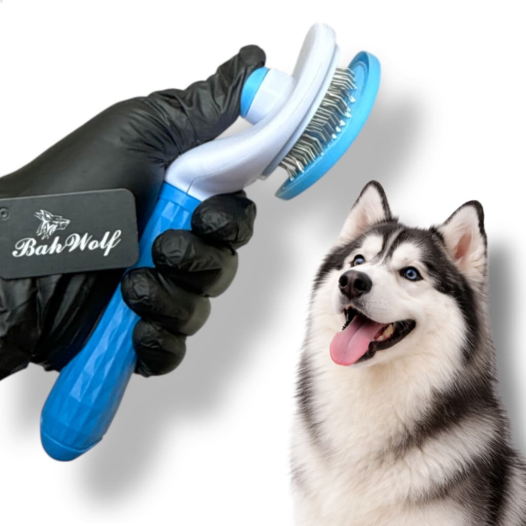 Rasqueadeira Grande Bahwolf Cleanswift Limpeza com Click ShihTzu Yorkshire Lhasa Poodle Maltês Spitz