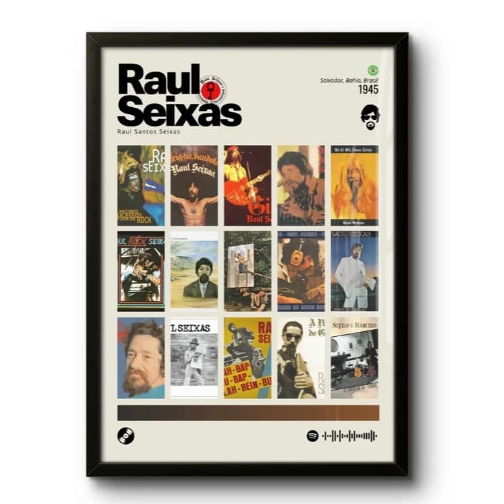 Quadro Decorativo: Raul Seixas / Discografia (1945) A Coleção Discografia contempla todos os álbuns.