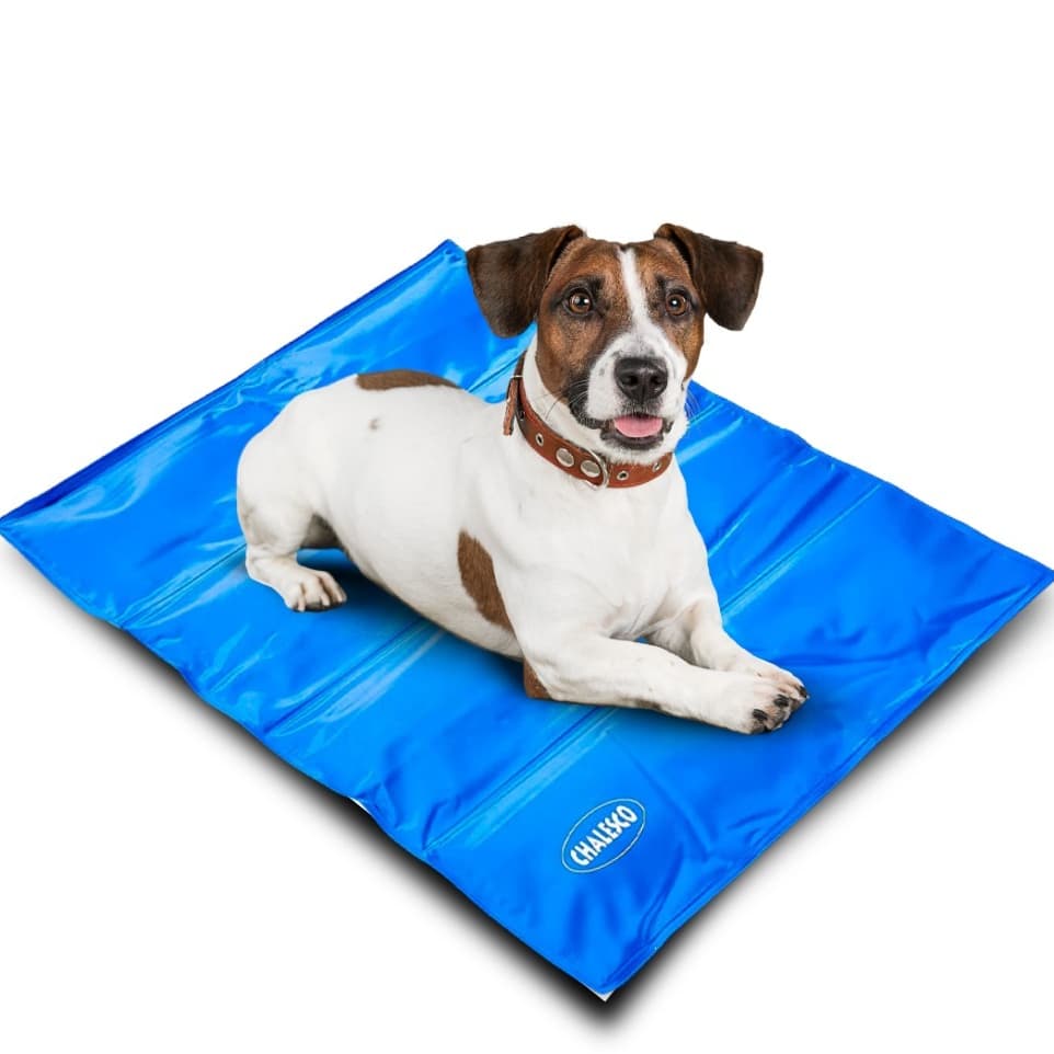 Tapete Gelado Pet Cooling Médio Refrescante 50x64cm Chalesco