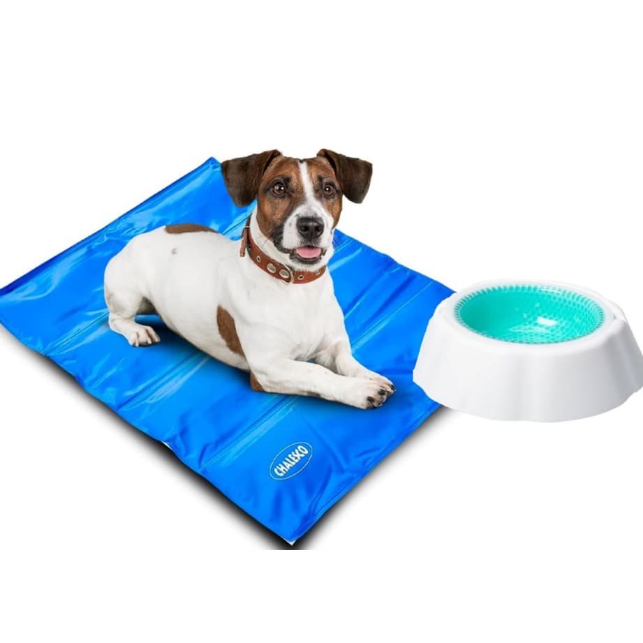 Kit Chalesco Tapete Gelado Pet 50x64cm + Bebedouro Água Gelada Cães e Gatos Verão