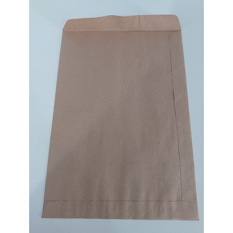 Envelope pardo grande