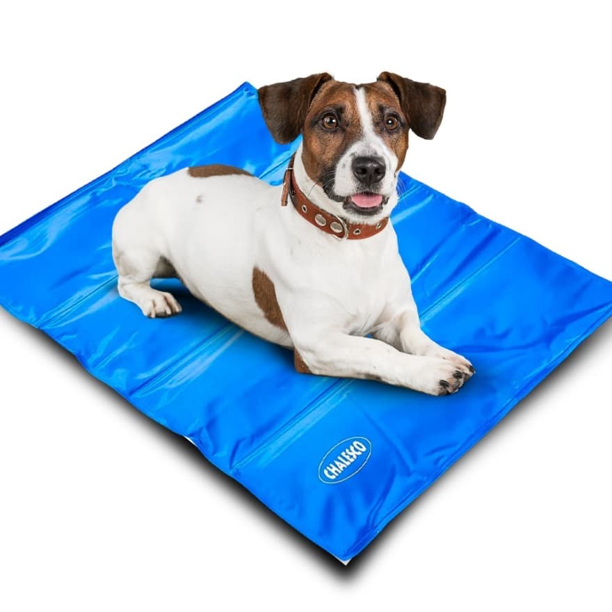Tapete Gelado Pet Cooling Médio Refrescante 50x64cm Chalesco