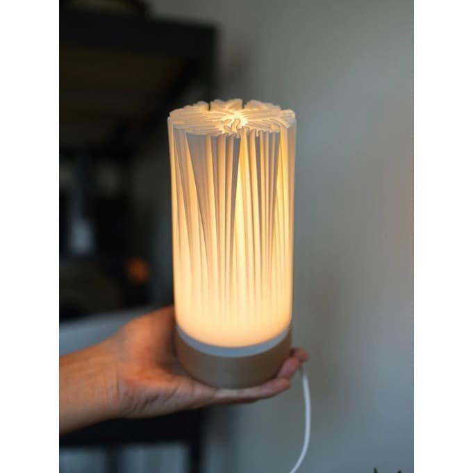 Luminária de Mesa Minimalista Bivolt – Design Orgânico com Lâmpada Inclusa | Decoração Moderna