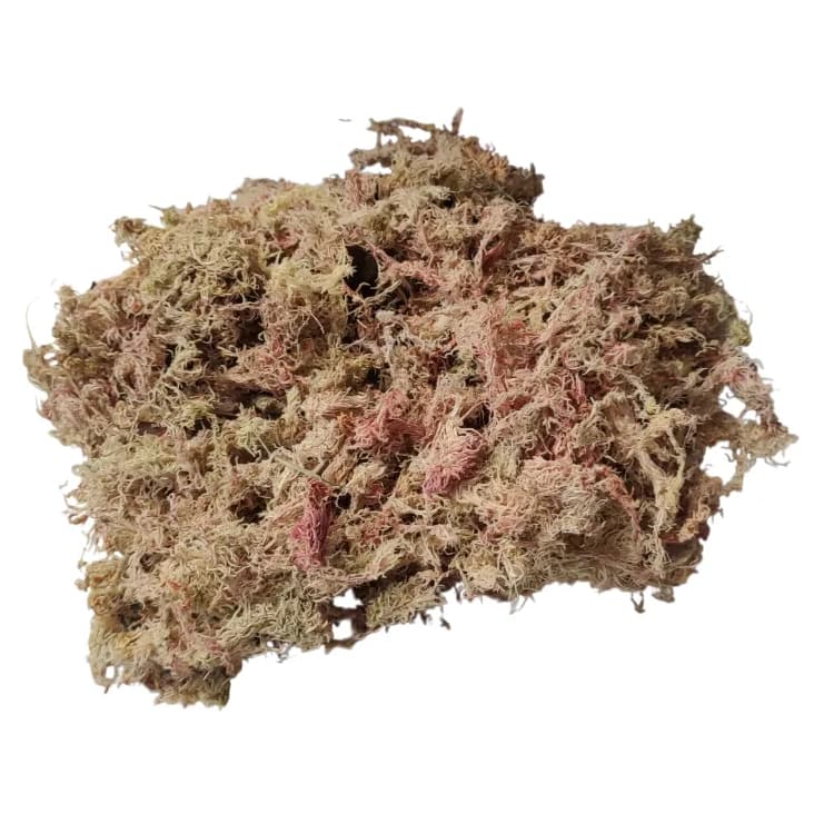 Musgo Esfagno Sphagnum 3L Substrato Orquídeas Kokedama Carnívoras